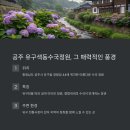 공주 유구색동수국정원 꽃 축제: 개화 시기부터 주차까지 총정리!