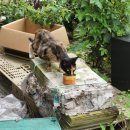 경기도 수원시 팔달구 월드컵로297번길 이미지