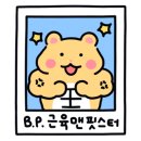 초이스 핏 이미지