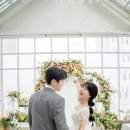 트라디노이 이미지