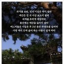 최진사