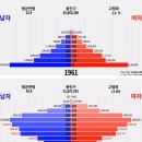 한국..나약하면 죽던 시절..gif [움짤] 이미지