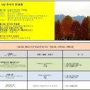 11월 5일. 한국의 탄생화와 부부사랑 /양버즘나무(플라타너스), 버즘나무 이미지