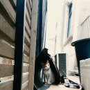 우산쓴고양이 네이버블로그