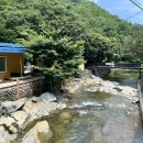 돌티미식당 이미지