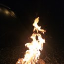 평택항 국민여가캠핑장 이미지