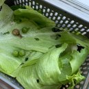 안녕달팽이 이미지