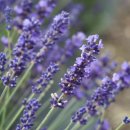 관자재한의원 이미지