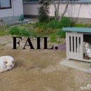 야 이미지