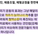 두 달만 열심히 해도 당신은 상위 10%…가성비 최고의 운동기구는? 이미지