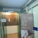 금채약손
