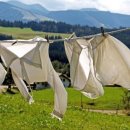 새로운세탁 이미지