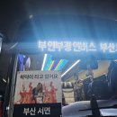 둥개둥개 | 2025 뮤즈 내한콘서트 후기 MUSE LIVE IN KOREA