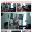 미씨엘로펜션 이미지