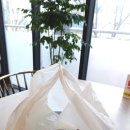 피자소그로 이미지