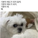 복 이미지