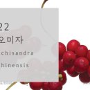 채움한의원 이미지