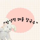 망양정 해물칼국수 | 경북 울진군 죽변면 죽변리 해장용 칼칼한 땡초 해물 칼국수“망양정해물칼국수”내돈내산 솔직후기