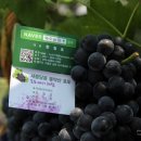 녹수농장 이미지