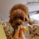 도기키친 프롬제주 이미지