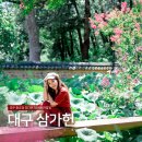 기곡1리 경로당 | 경주 종오정 있다면 대구는 하엽정! 삼가헌 배롱나무꽃