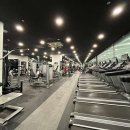 엘바디핏 이미지