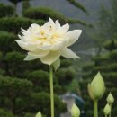 연향농장 이미지