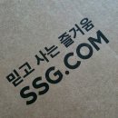 56 | 라코스테 반팔 추천!여름 데일리 끝판왕,베이직 오토만 반팔 폴로 셔츠 DH8342-56G 솔직 후기