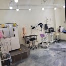 상아지네 이미지