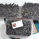 김가네농장 이미지