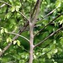 소사는집 이미지