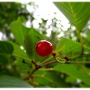 당신이 있어 좋은세상 이미지