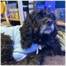 한대전자 이미지