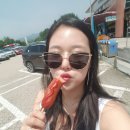 하이클래스 거제 | 경상남도 하이클래스 거제 풀빌라 스파 펜션 추천 내돈내산 후기