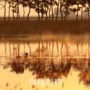 계화도마을 이미지