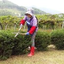 재순농장 이미지