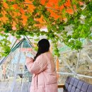 날망집 | 무주카페 날망 무주 베이커리 대형카페 추천