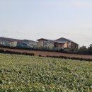 일우민박 이미지