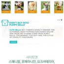 펫배달 이미지