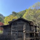 삼태기식당 이미지
