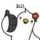 통영체육청소년센터 이미지