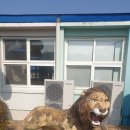 금서초등학교 이미지