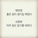 체리레몬비 이미지