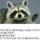 꾸꾸네 이미지