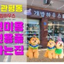 토탈애견하우스 네이버블로그