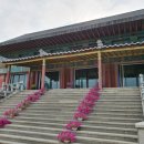 금강스테이341