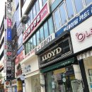 카스안경콘택트 | [5/6 서현동 안경점/으뜸 플러스 안경/내돈내산]