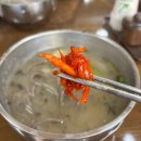 [춘천] 춘천 감자 옹심이 칼국수,메밀칼국수/현지인이 찾는 맛집