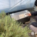 서해축산 이미지