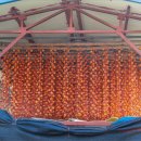 씨없는곶감마을 이미지